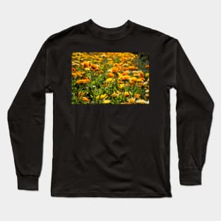 Flower Fields Long Sleeve T-Shirt